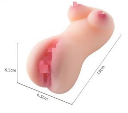Mini Female Torso Model
